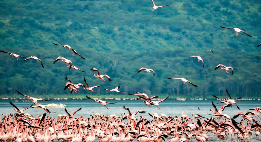 4 days lake nakuru