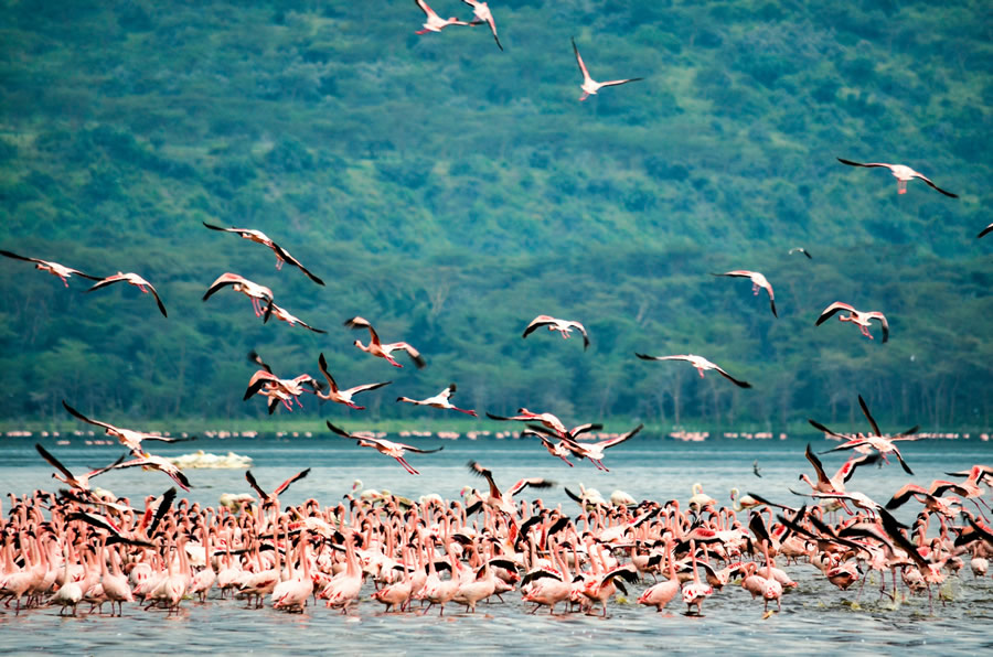 4 days lake nakuru