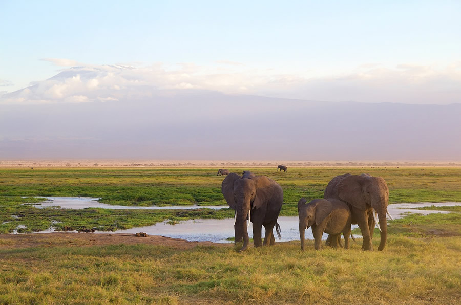 Amboseli-National-Park