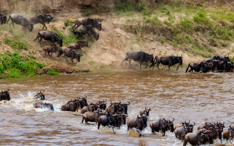 great-migration